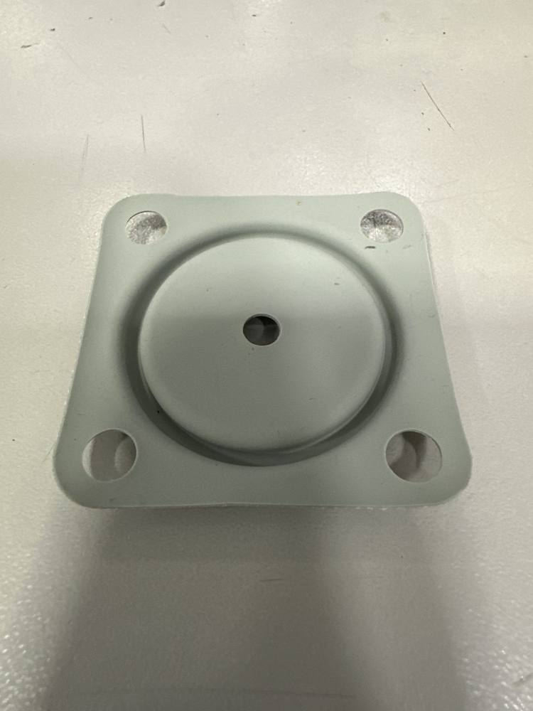 DIAPHRAGM