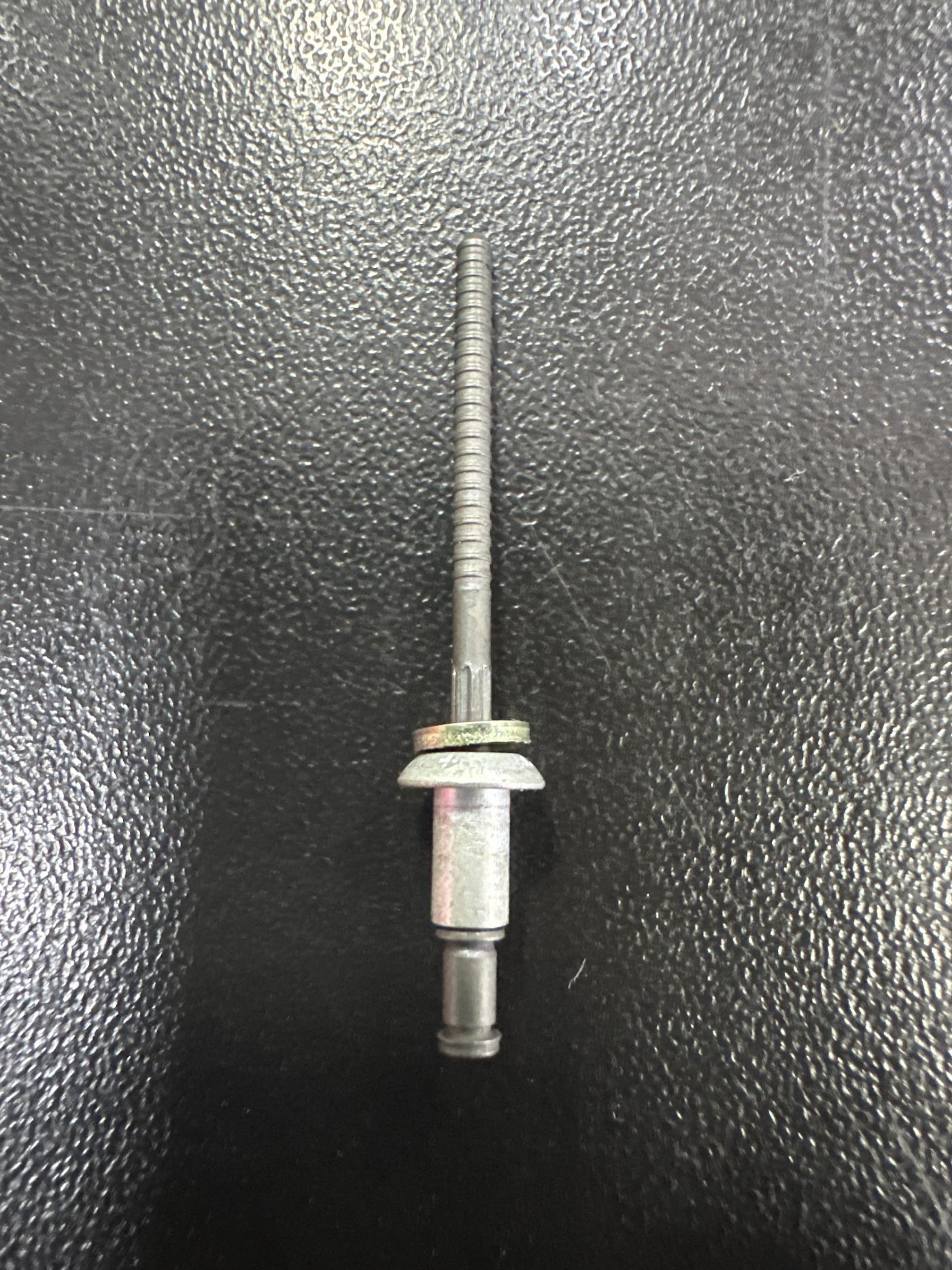 RIVET